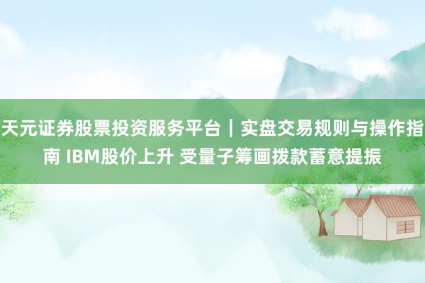 天元证券股票投资服务平台｜实盘交易规则与操作指南 IBM股价上升 受量子筹画拨款蓄意提振