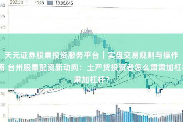 天元证券股票投资服务平台｜实盘交易规则与操作指南 台州股票配资新动向：土产货投资者怎么肃肃加杠杆？