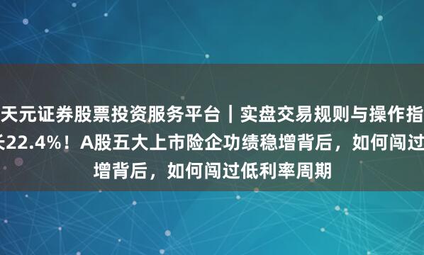 天元证券股票投资服务平台｜实盘交易规则与操作指南 盈利增长22.4%！A股五大上市险企功绩稳增背后，如何闯过低利率周期
